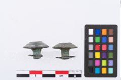 Foto von Bronzezierniet (NHMW-PRAE-002318)